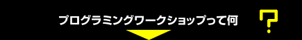 プログラミングワークショップって何