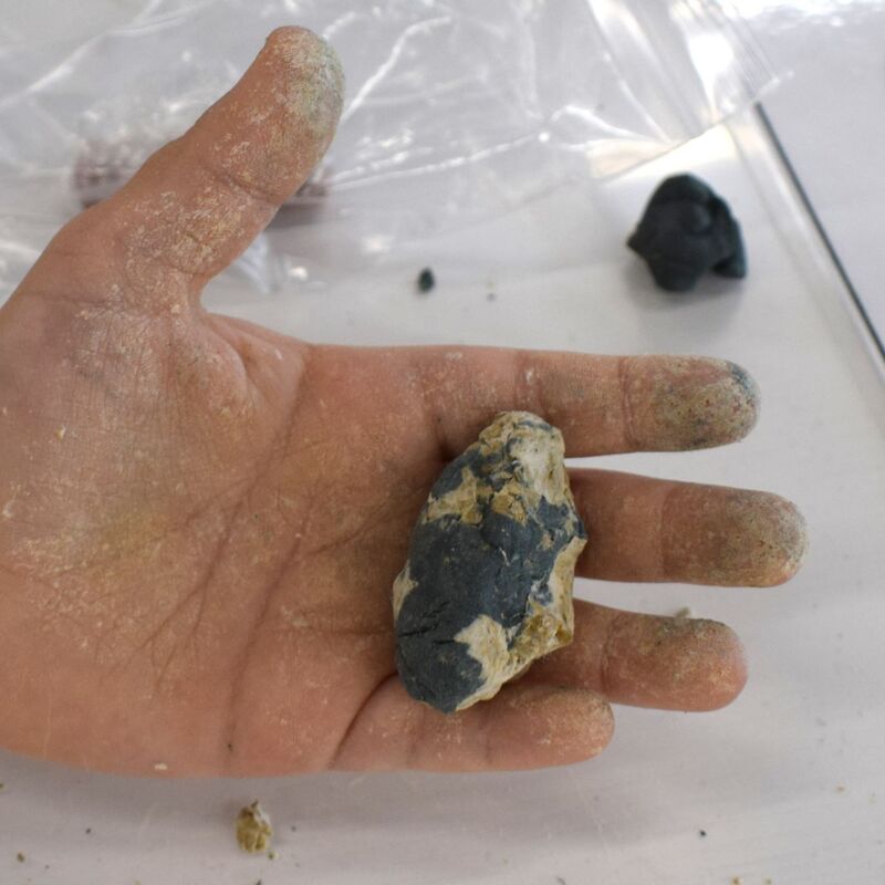 2025年7月13日（日）サマーキャンプ2025 STEAM講座『ちいさないしの大きなひみつ～造形クラス～』in竹芝